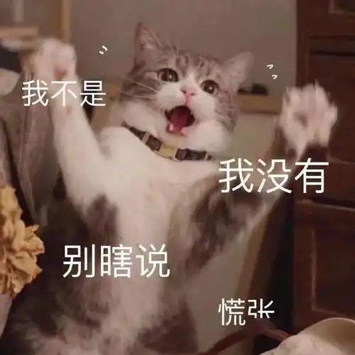  我哪敢说话啊
