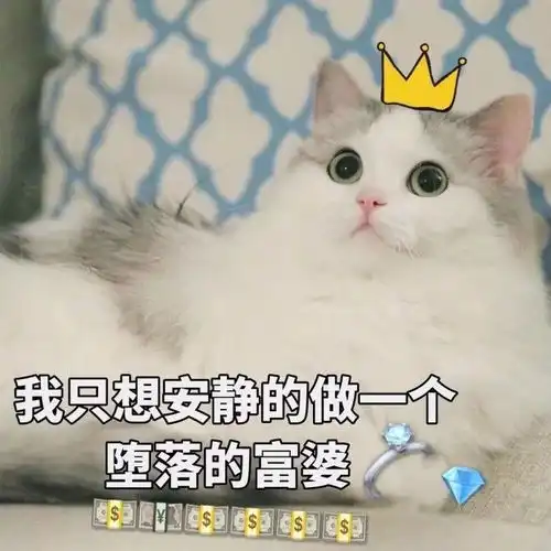  斗图小表情12.27