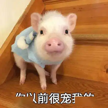 要想在家不被嫌弃,你得热爱学习