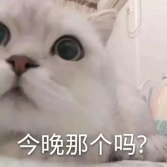  玫瑰沾白糖的相册天使猫猫的表情包