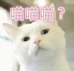ac娘表情包图片喵老师