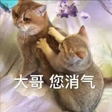  沙雕搞笑表情包i俺是你的犬系男友