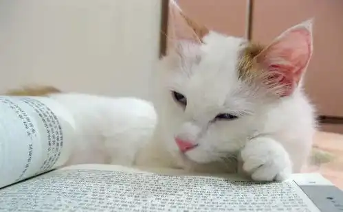  据说,寒假开学后,各科老师的表情是这样的,美术老师也太真实了