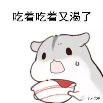 小仓鼠表情包图片大全情