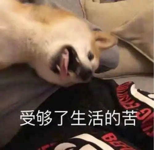  有没有玩饥荒的