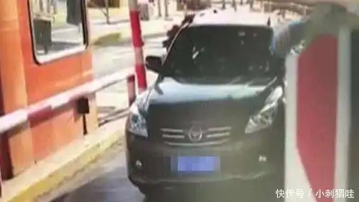  小车在高速收费站停下,收费员露出害怕表情,当车主明白时都迟了