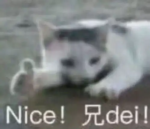  双十一种草趴这些彩妆qiao好看