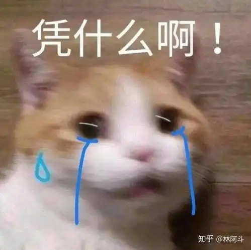  男生追你没自信患得患失,从没直接面对你你也是莫名其妙后来,他不想提以前任何事你们还能