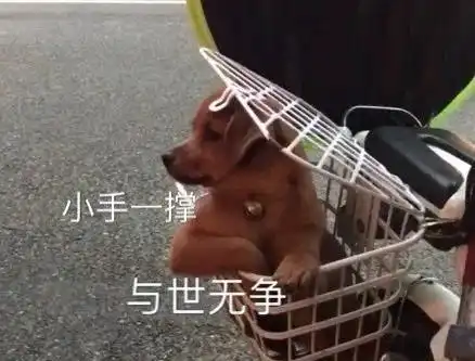  据说青簪行撕番撕出圈了