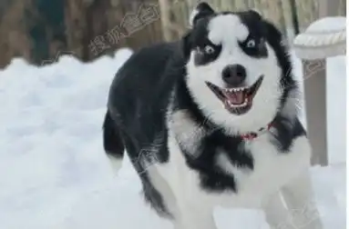  咱苏州第二个牛逼的大型下沉式商业广场istation快开业啦