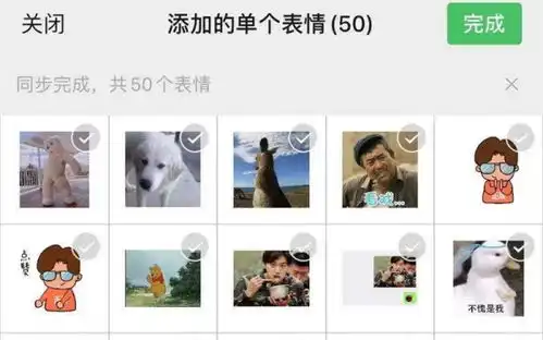 如何用视频做表情包朋友