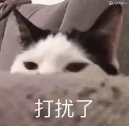  打扰了表情包打扰了微信表情包打扰了qq表情包发表情fabiaoqing.com