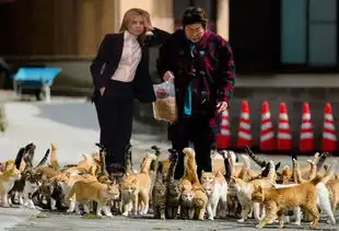  普京就职典礼哪一幕火了