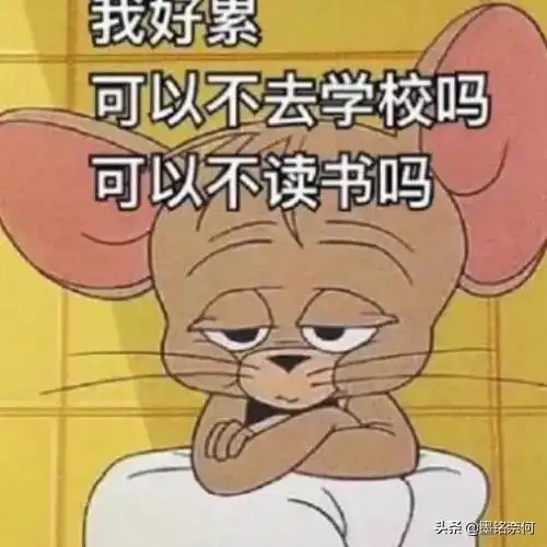  开心笑话小外甥女扔给我一包中华,说你打的过你姐吗