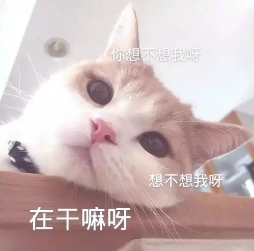  撩女朋友的表情包30张撩妹必备情话表情