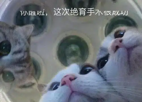  处对象红圈以内