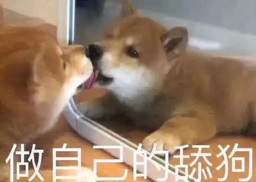  表情包好了你不要再说了