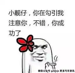  这些车看起来很娘开起来却是爷们儿