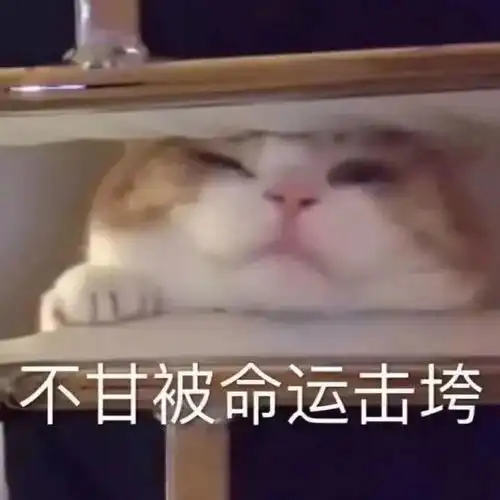  日常聊天必备表情包