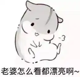  搞笑gif爱老婆专用表情包