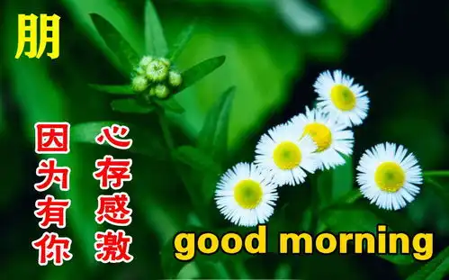  周二早上好最新版漂亮星期二早安祝福语表情图片大全问候语段句子