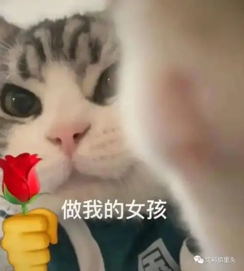  适合找对象发的沙雕文案