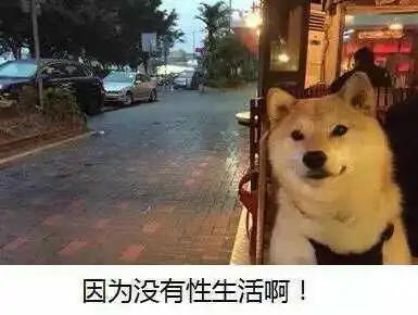  柴犬表情包上面的字写的好像是一个人看尽世态炎凉的图片求大神告知