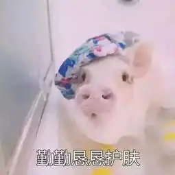 猪被打表情包干嘛