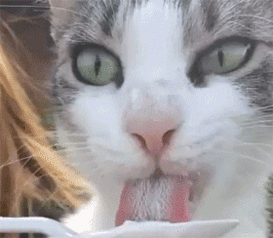  吃了冰淇淋之后,舌头都要冻掉了这表情太可爱了