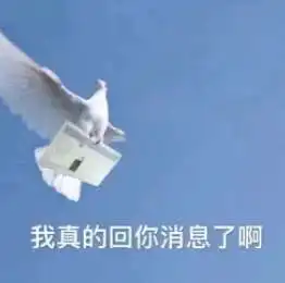  今日份热门表情包