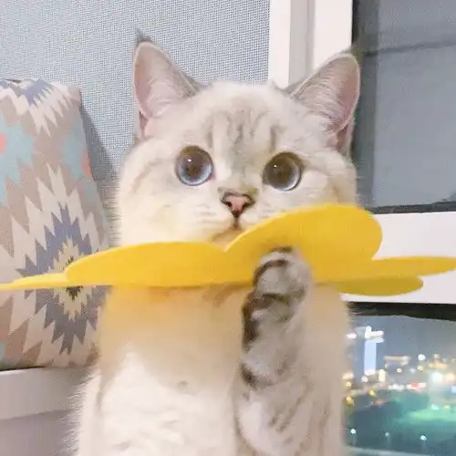  温柔到骨子里的文案