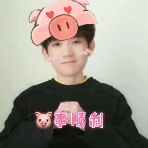  王源新年壁纸,祝你猪事顺利