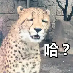  目瞪口呆女子花300万买别墅,竟然没屋顶开发商屋顶算面积