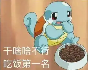  前方大量表情包出没杰尼龟咋就变成憨批代言人了