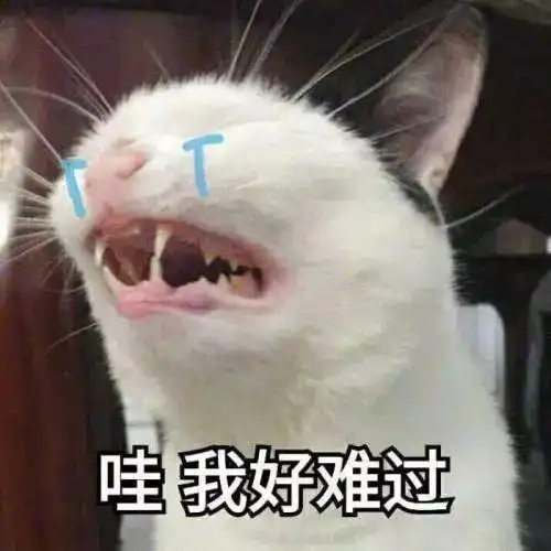  网友倾诉自己的倒霉瞬间,真的是喝凉水都能塞牙缝