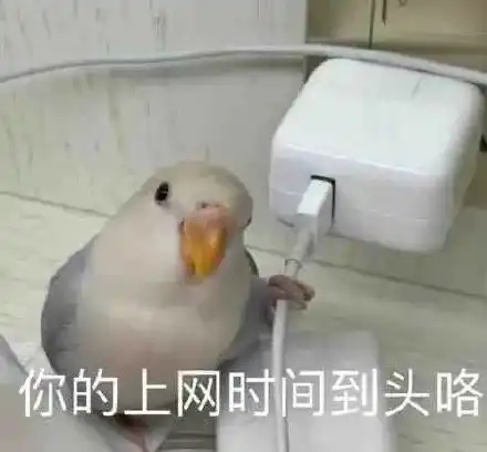  吴磊cp粉骑脸