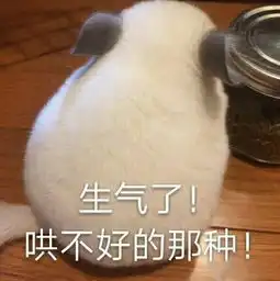  为什么有的人买到跟她一样的东西会生气