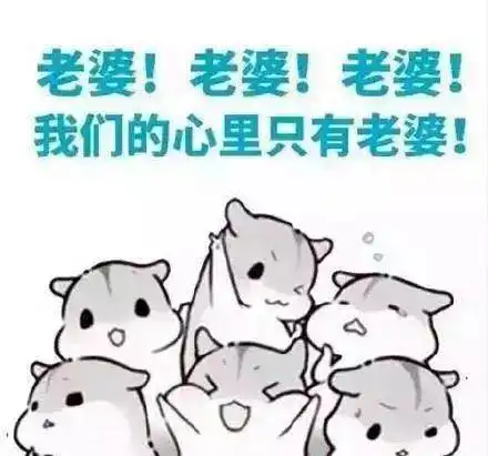 约表情包杜蕾斯老婆