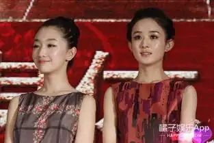  赵丽颖在周冬雨微博评论发表情包,她活跃的太像高仿号了