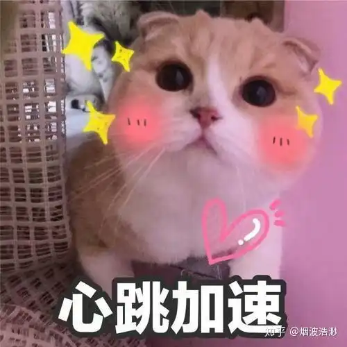  4个技巧提高你的商品转化率,复购率和客单价