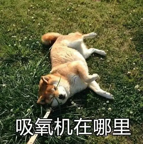  学校给你家寄了成绩单,还包邮