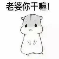  仓鼠妻奴表情包微信头像图片大全