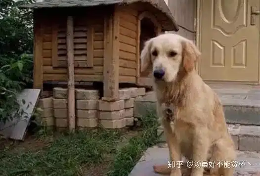  上帝造人全过程