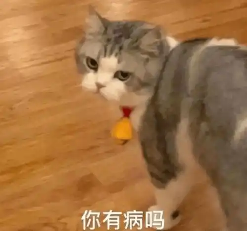  沙雕表情一个人排位太简单了带上这个吧