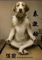 qq表情搞笑带字的图片动