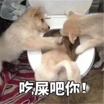  最全沙雕狗子表情包合辑年度最傻狗子都在这儿了