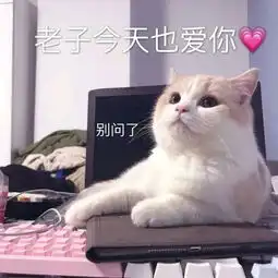  可爱的猫咪表情包合集哥哥,出来玩吗