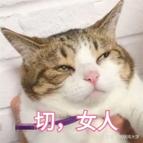  可以报考哪些院校,各大院校的排名和录取难度内含详细解析
