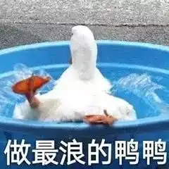  为什么鸭比鸡便宜
