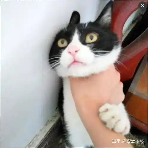  怎么应对老师看我的不顺眼